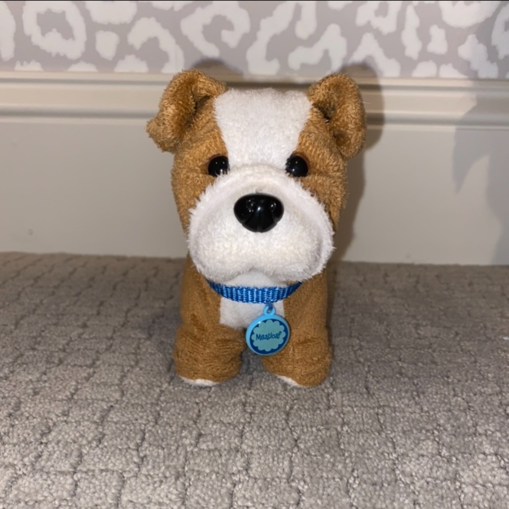 American girl dog Meatloaf